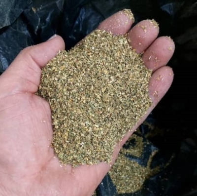 تخصص و تجربه