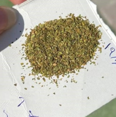 تخصص و تجربه