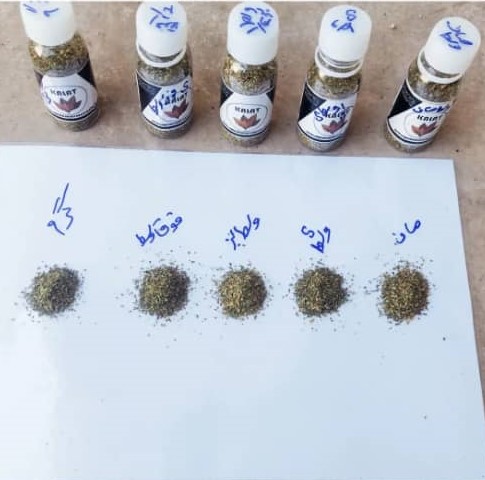 تخصص و تجربه